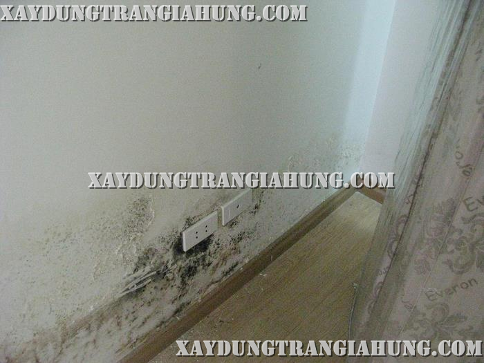 Cách chống thấm tường bị ẩm 