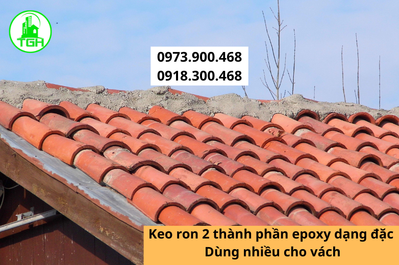 Sơn ngói chuyên nghiệp