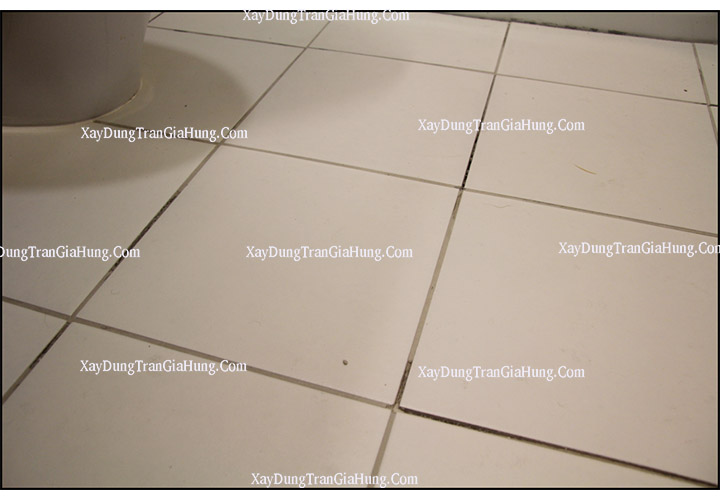tiến trình của keo ron Italia